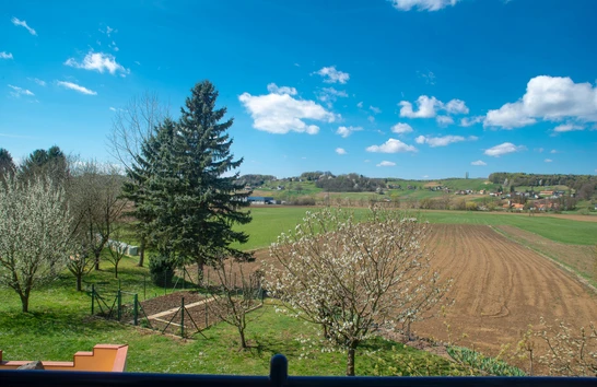 Ausblick vom Balkon im Hotel Scheer