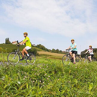 Radfahren in der Region Bad Gleichenberg (c) Werner Krug Radfahren in der Region Bad Gleichenberg (c) Werner Krug