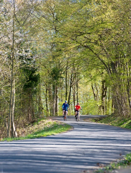 Gemütliche Radtouren rund um das Hotel Scheer