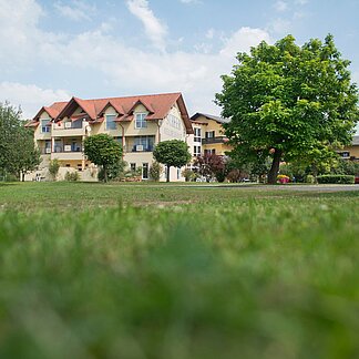 Das Hotel Gasthof Scheer mit Wiese